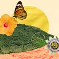 Introducing De la Editora, the Latine Newsletter That Brings Our Community Together